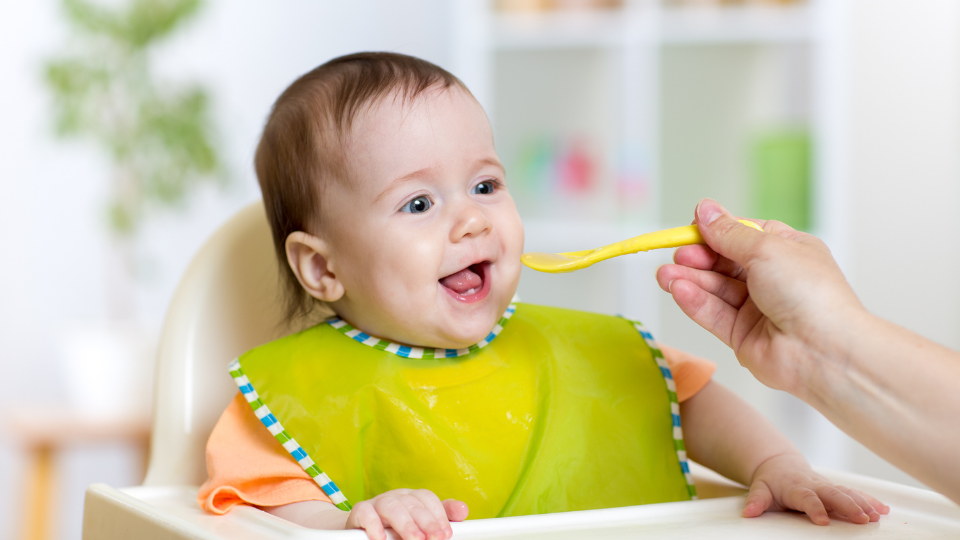 Toddler Healthy Lunch Ideas You Need To Know
